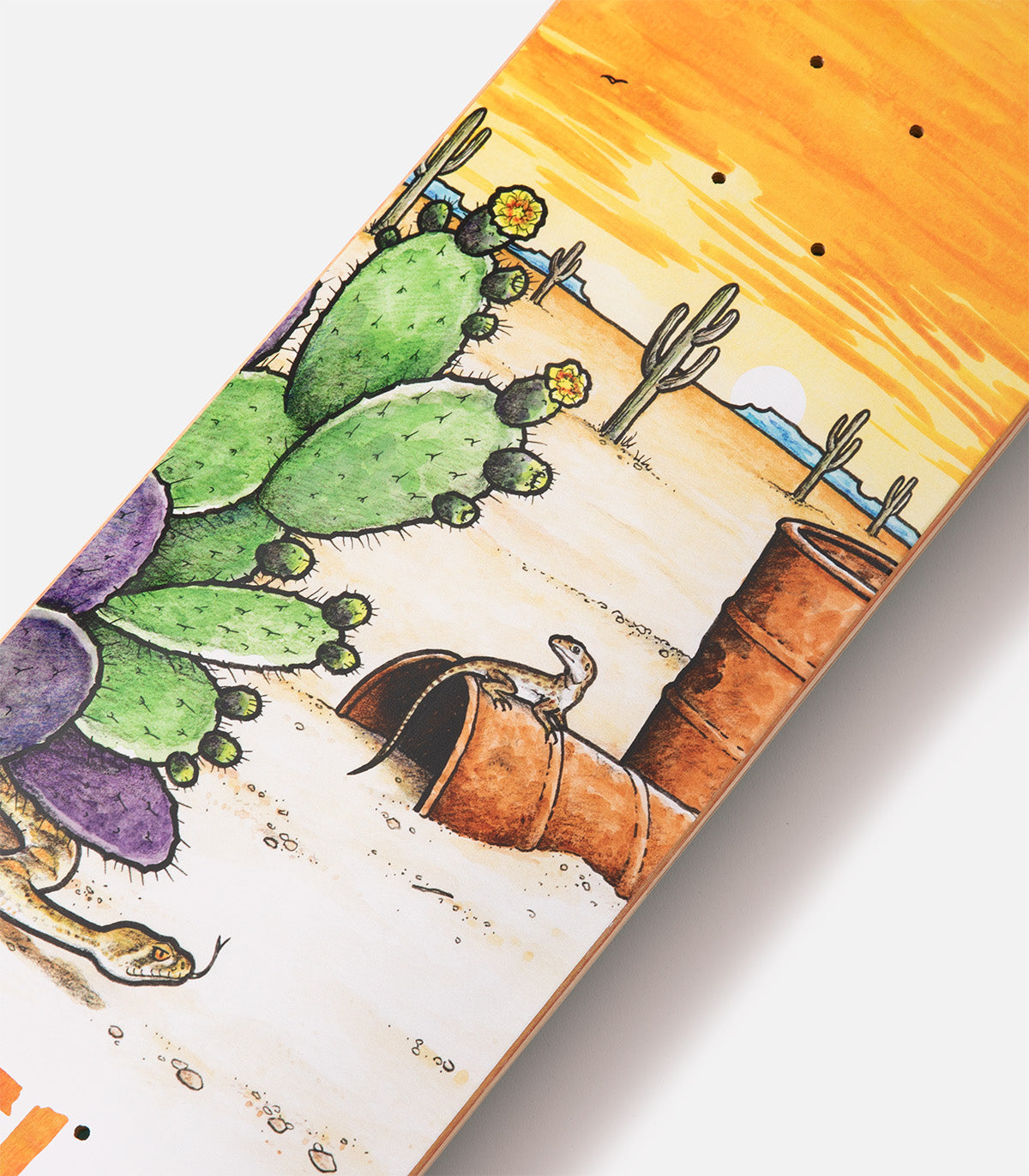 Antihero Daan Van Der Linden Desertscape Deck
