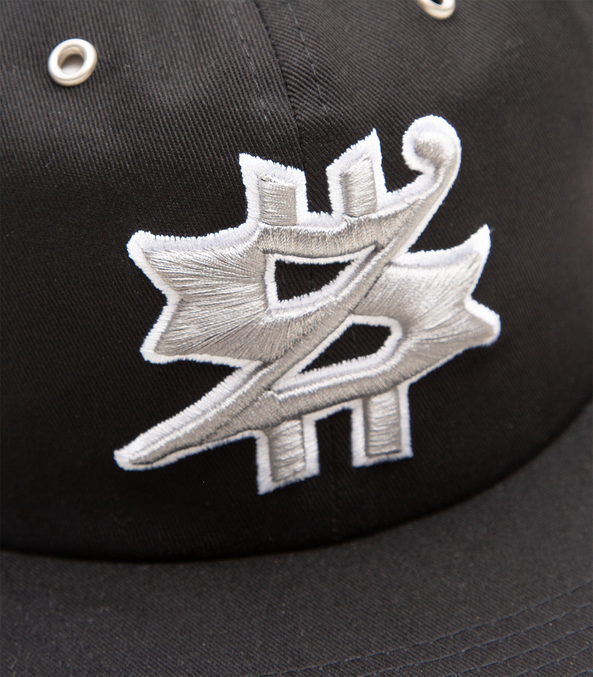 Stingwater Paid 2 Sk8 Hat