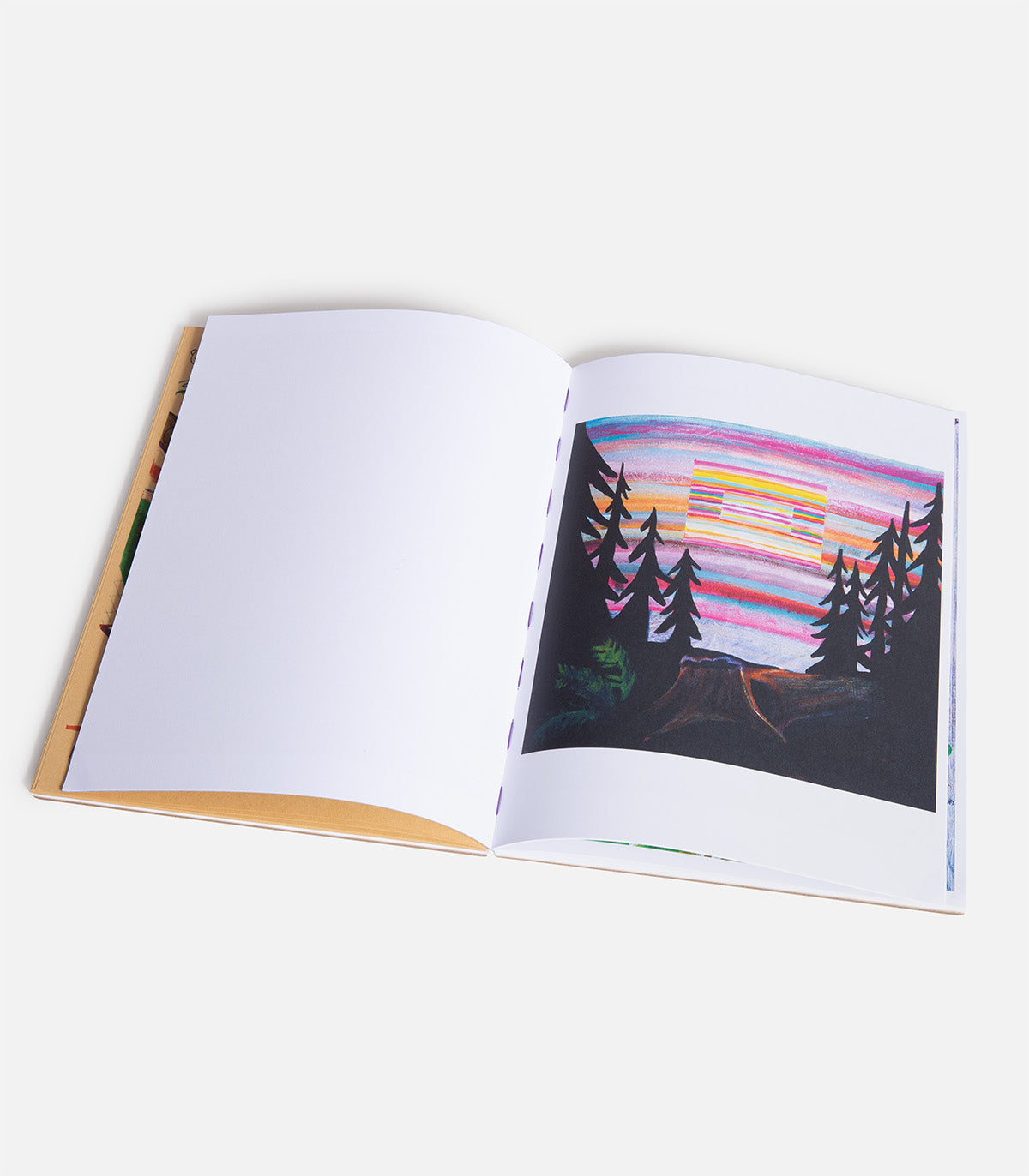 Joe Roberts We Ate The Acid Book