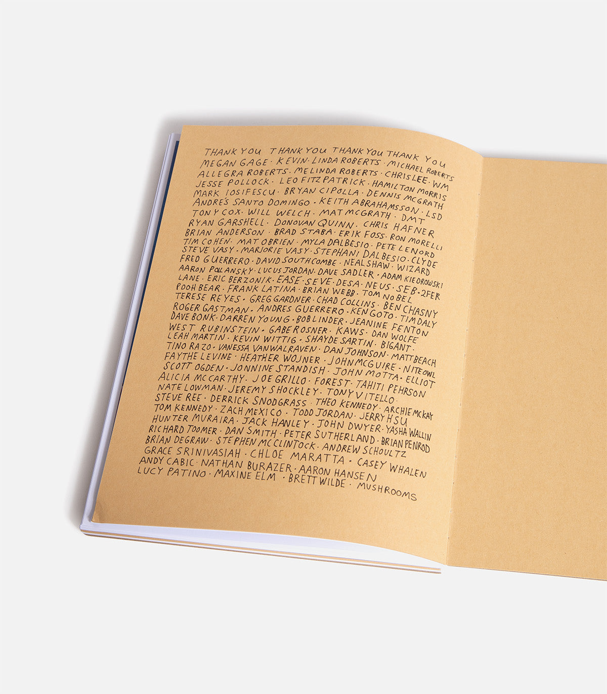 Joe Roberts We Ate The Acid Book