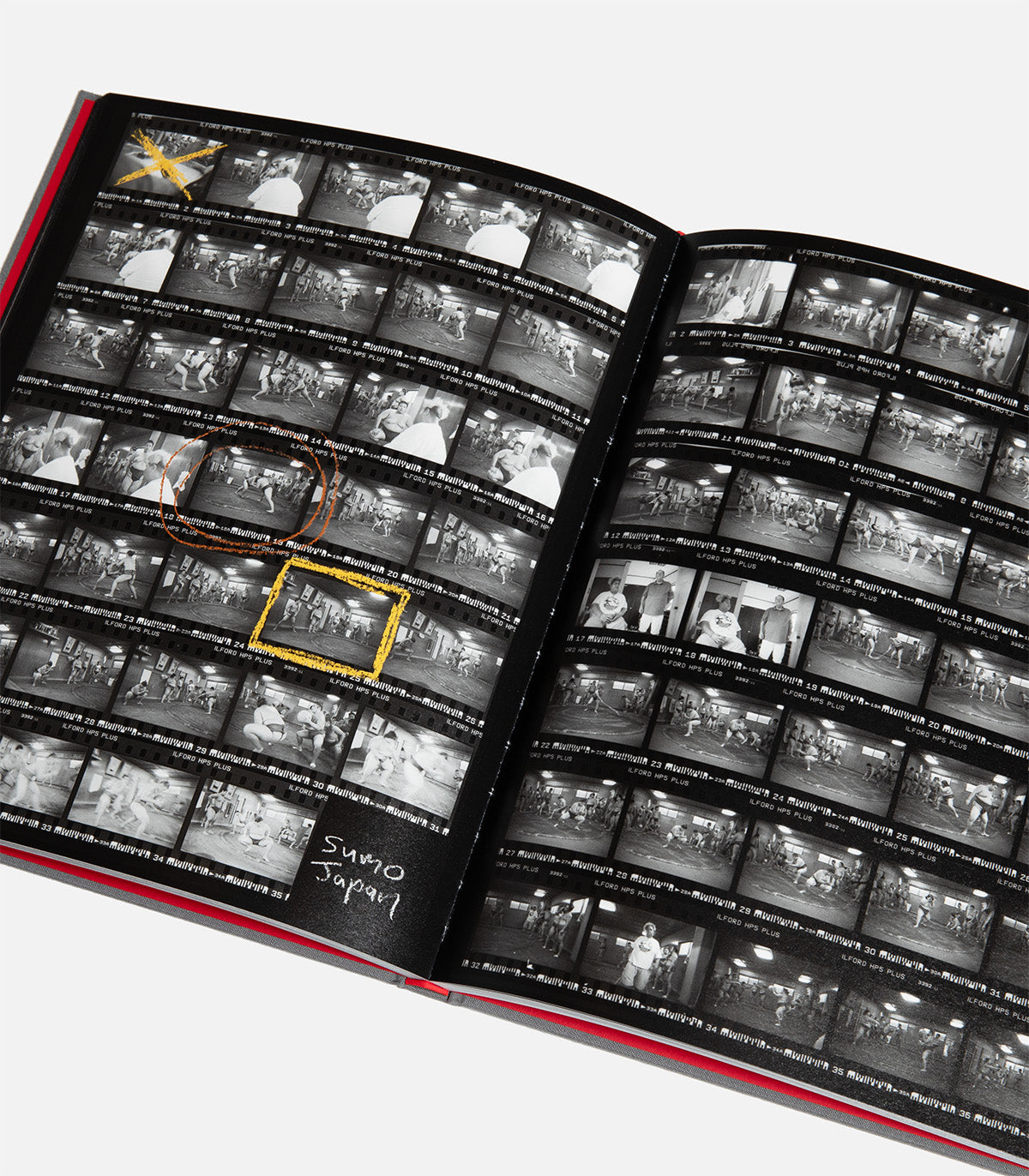 Ray Barbee "The Joy is in Capturing the Journey" Photo Book