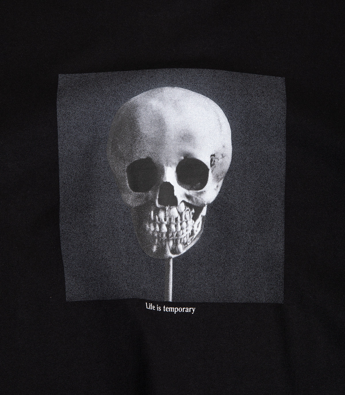 Polar Morphology T-Shirt